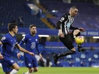 开云体育登录-纽卡斯尔主场负于布赖顿，遭遇连败