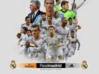 开云体育入口-赛道与绿茵场，速度与荣耀的双重奏