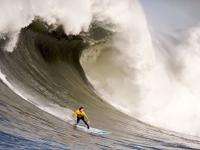 开云官方app入口-特奥一锤定音，当牙买加雷鬼遇上墨西哥仙人掌，一位巨星的诞生之夜