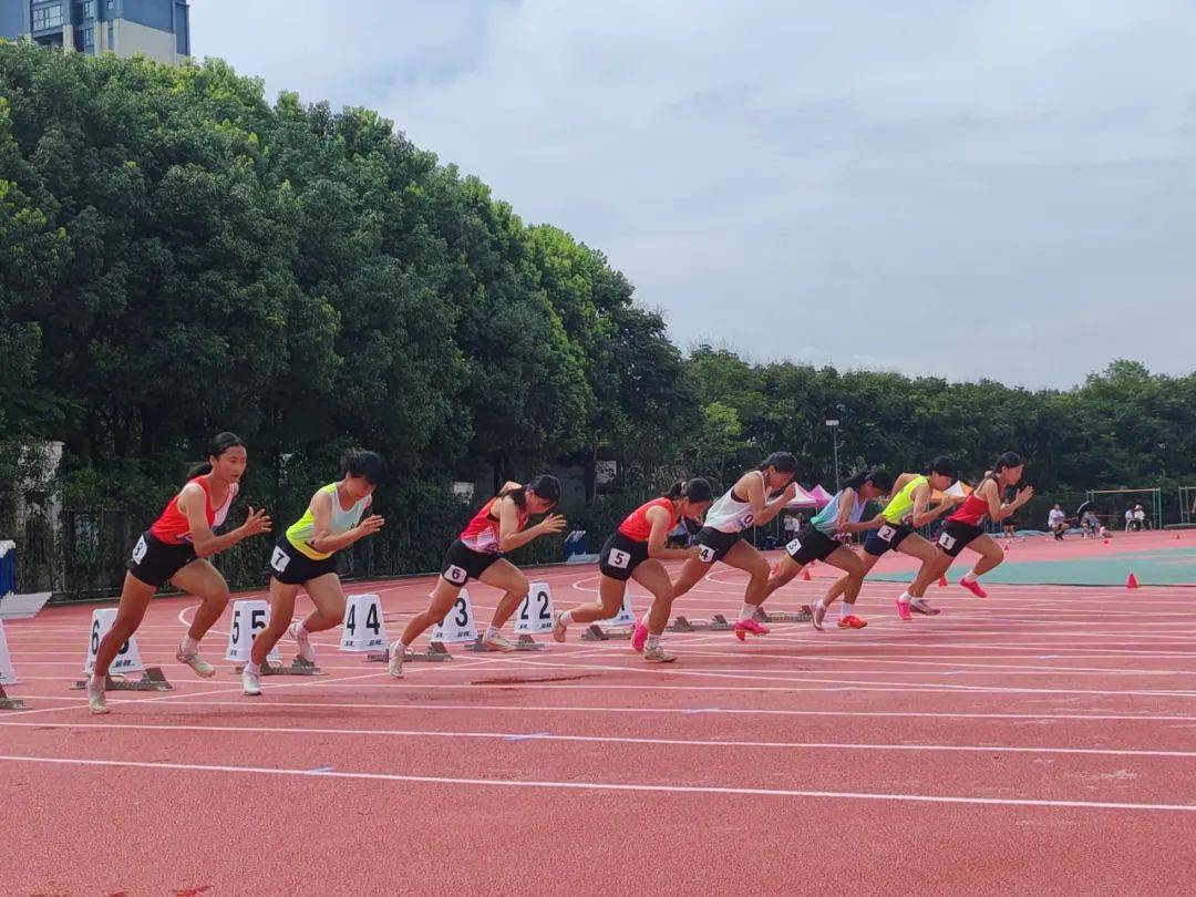 赛场战火重燃,全力以赴拼搏晋级的简单介绍 赛场战火重燃,全力以赴拼搏晋级的简单介绍