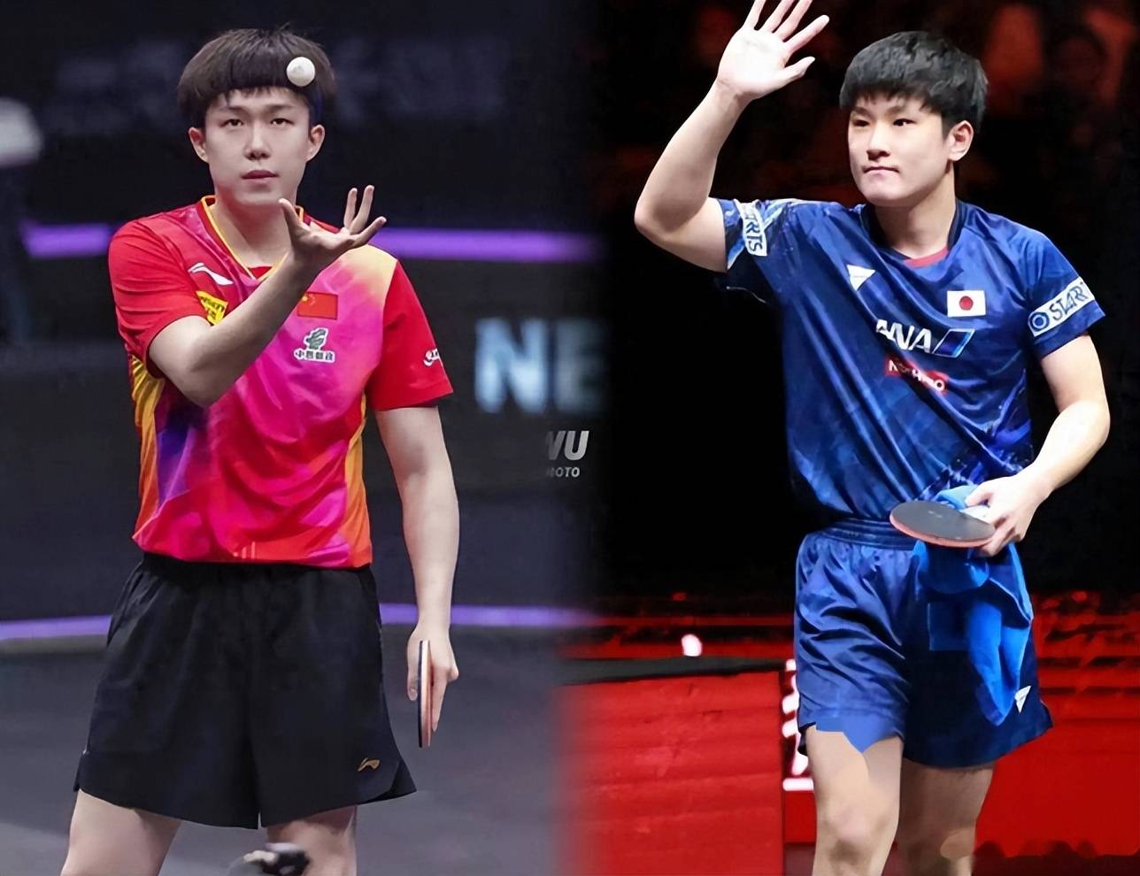 关于法国队横扫瑞典队,张本智和惊艳四座的信息 关于法国队横扫瑞典队,张本智和惊艳四座的信息