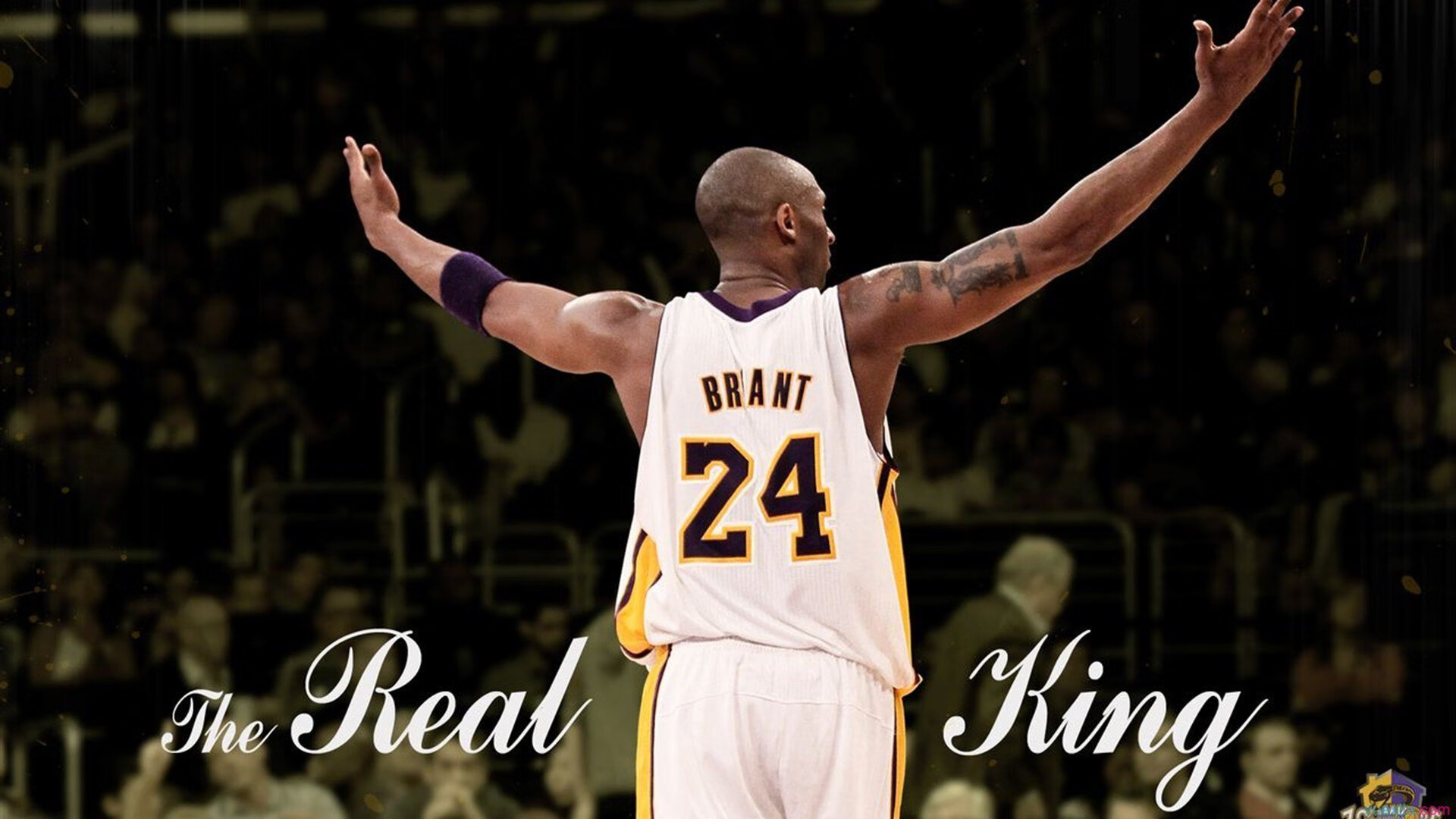 掘金强势晋级映照王朝新篇，詹姆斯世界杯接管书写不老传奇